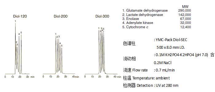 分子量一万到几十万的蛋白质分离