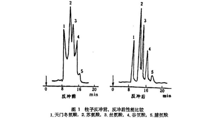 色谱柱反冲技术