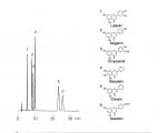 类黄酮化合物色谱图(AQ12S05-1546WT)