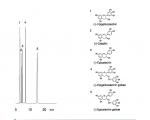 儿茶酚类色谱图(AA12S05-1546WT)