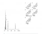 洋地黄毒苷类强心苷药物分离色谱图(AS12S05-1546WT)