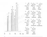 核苷(nucleosides)分离色谱图