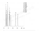 核苷酸(Nucleotides)分离色谱图