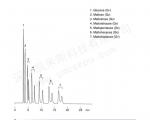 麦芽低聚糖分离色谱图